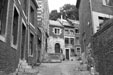 Rue Voliere